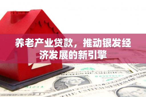 绥滨养老产业贷款，推动银发经济发展的新引擎