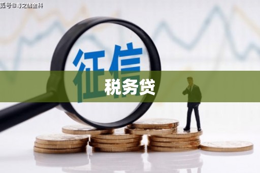 绥滨税务贷