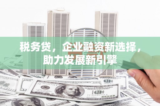 绥滨税务贷，企业融资新选择，助力发展新引擎