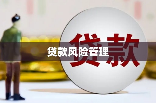 绥滨贷款风险管理