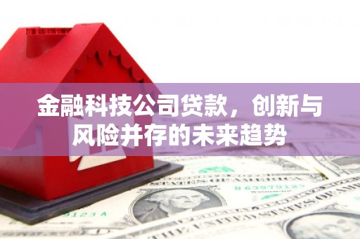 绥滨金融科技公司贷款，创新与风险并存的未来趋势