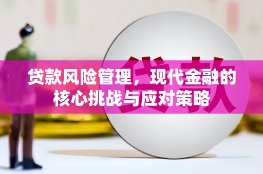 绥滨贷款风险管理，现代金融的核心挑战与应对策略