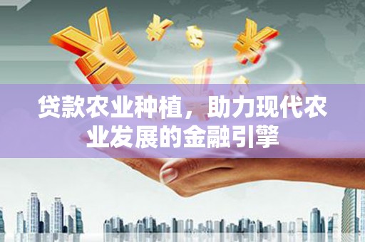 绥滨贷款农业种植，助力现代农业发展的金融引擎
