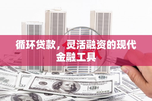 绥滨循环贷款，灵活融资的现代金融工具