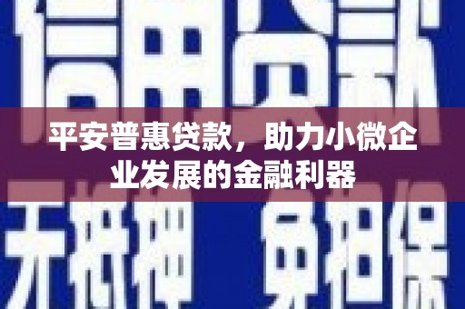 绥滨平安普惠贷款，助力小微企业发展的金融利器