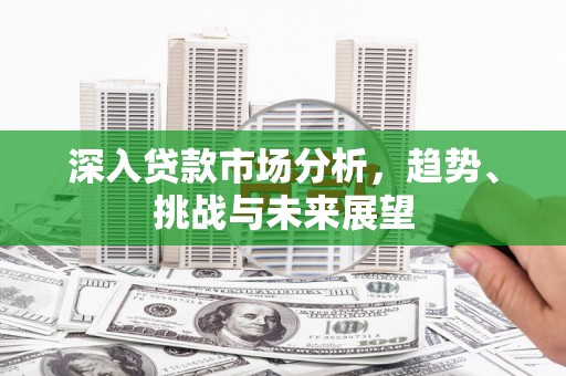 绥滨深入贷款市场分析，趋势、挑战与未来展望