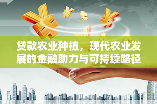 绥滨贷款农业种植，现代农业发展的金融助力与可持续路径