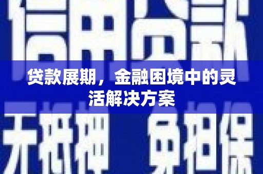 绥滨贷款展期，金融困境中的灵活解决方案