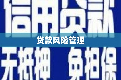 绥滨贷款风险管理