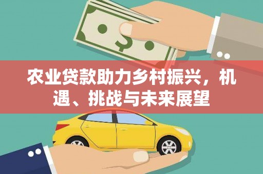 绥滨农业贷款助力乡村振兴，机遇、挑战与未来展望