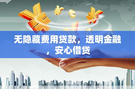 绥滨无隐藏费用贷款，透明金融，安心借贷