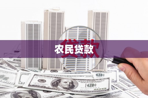 绥滨农民贷款