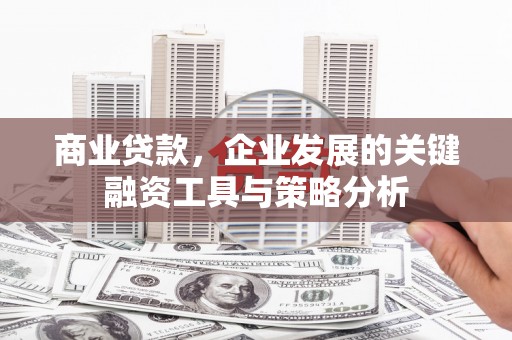 绥滨商业贷款，企业发展的关键融资工具与策略分析