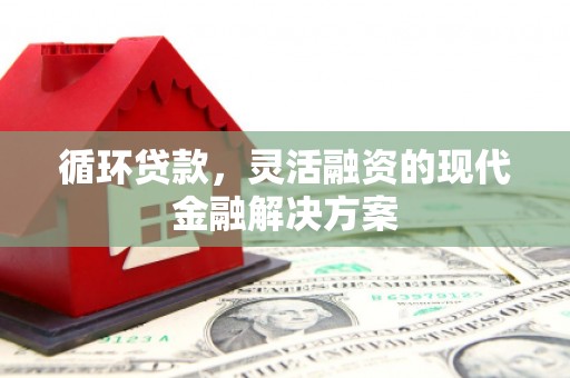 绥滨循环贷款，灵活融资的现代金融解决方案