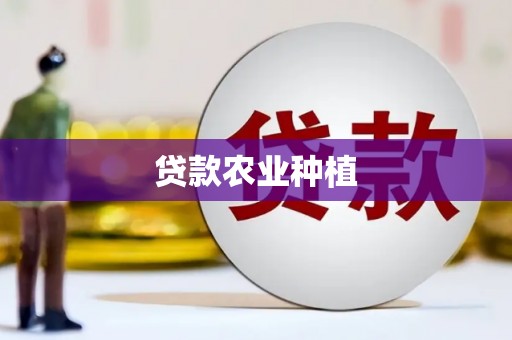 绥滨贷款农业种植