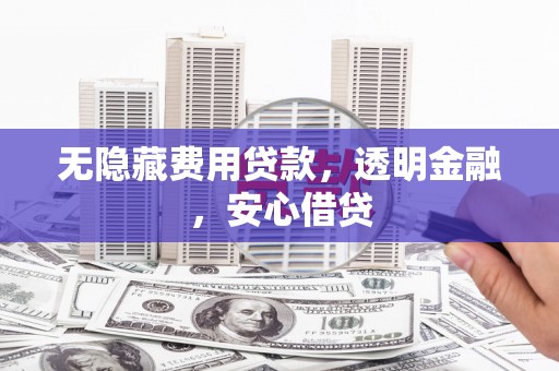 绥滨无隐藏费用贷款，透明金融，安心借贷