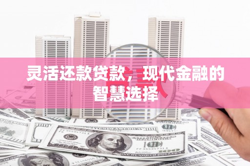绥滨灵活还款贷款，现代金融的智慧选择