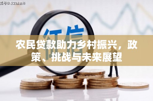 绥滨农民贷款助力乡村振兴，政策、挑战与未来展望