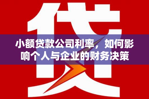 绥滨小额贷款公司利率，如何影响个人与企业的财务决策