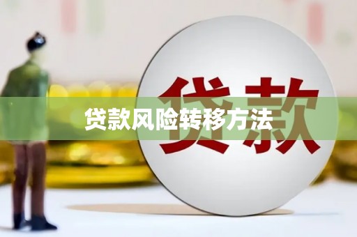 绥滨贷款风险转移方法