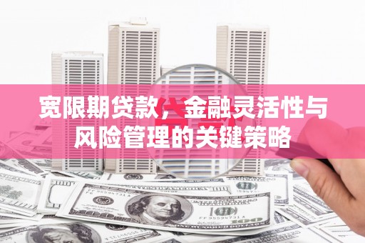绥滨宽限期贷款，金融灵活性与风险管理的关键策略