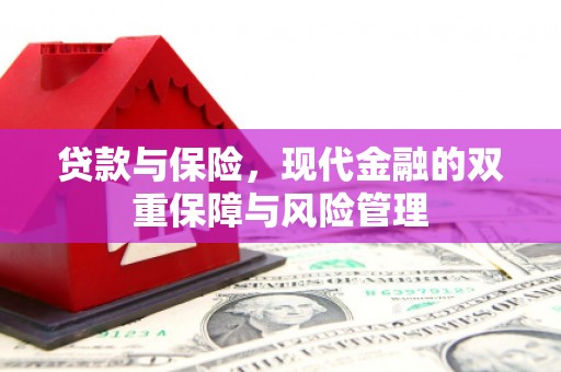 绥滨贷款与保险，现代金融的双重保障与风险管理
