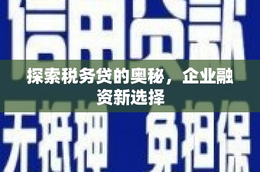 绥滨探索税务贷的奥秘，企业融资新选择