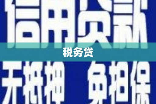 绥滨税务贷