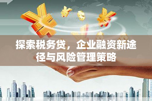 绥滨探索税务贷，企业融资新途径与风险管理策略