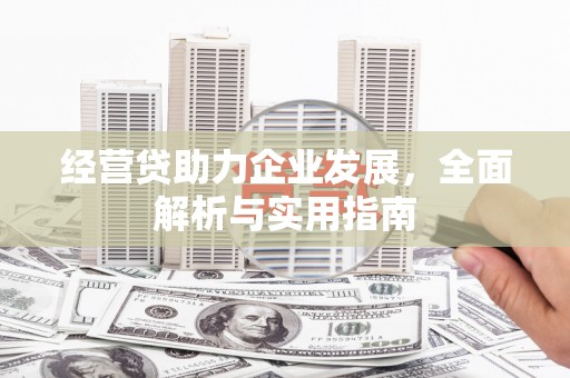 绥滨经营贷助力企业发展，全面解析与实用指南