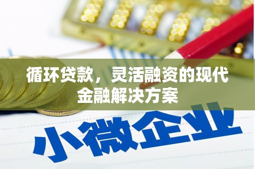 绥滨循环贷款，灵活融资的现代金融解决方案