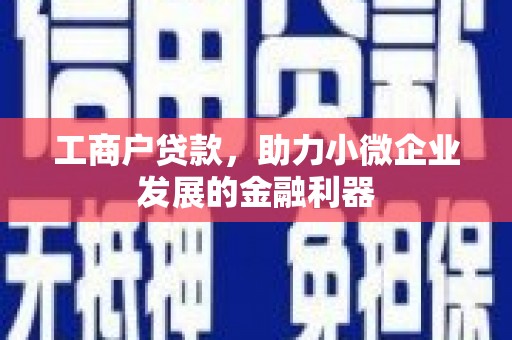 绥滨工商户贷款，助力小微企业发展的金融利器