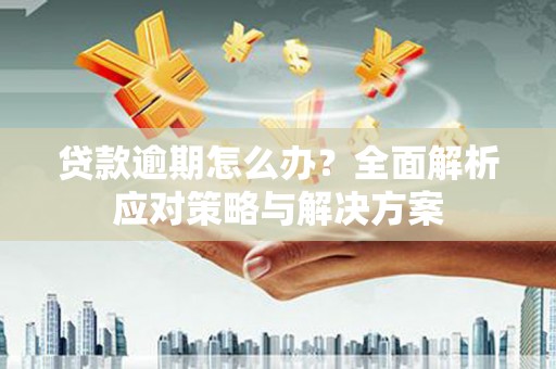 绥滨贷款逾期怎么办？全面解析应对策略与解决方案