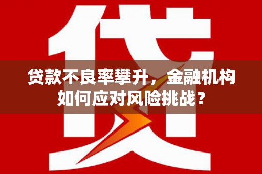 绥滨贷款不良率攀升，金融机构如何应对风险挑战？