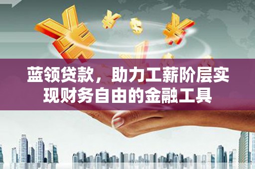 绥滨蓝领贷款，助力工薪阶层实现财务自由的金融工具