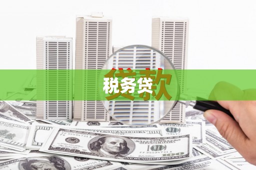 绥滨税务贷