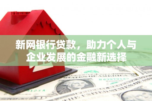绥滨新网银行贷款，助力个人与企业发展的金融新选择
