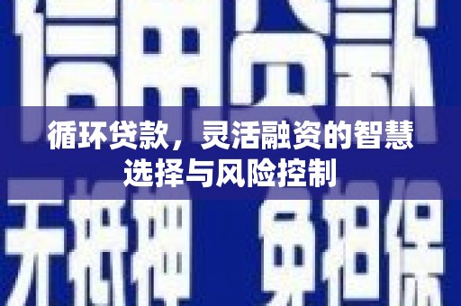 绥滨循环贷款，灵活融资的智慧选择与风险控制