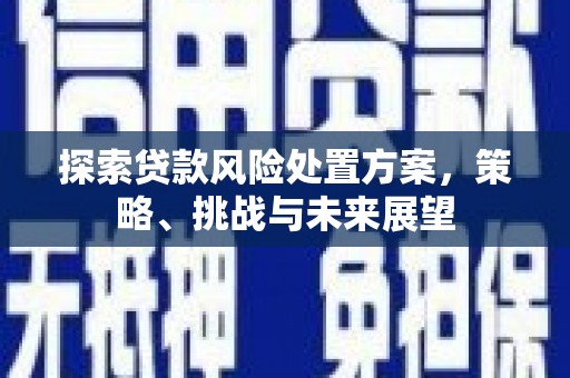 绥滨探索贷款风险处置方案，策略、挑战与未来展望
