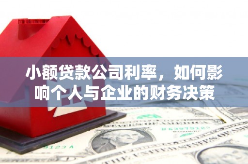 绥滨小额贷款公司利率，如何影响个人与企业的财务决策