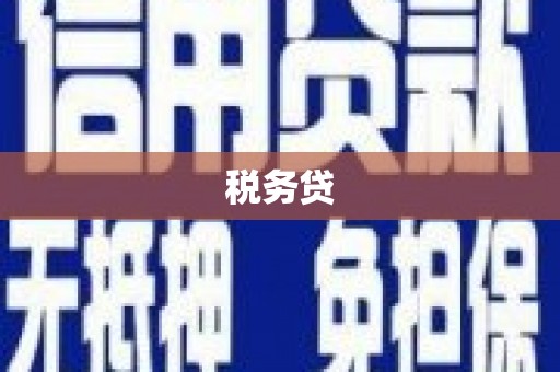 绥滨税务贷