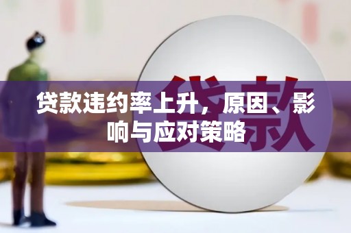 绥滨贷款违约率上升，原因、影响与应对策略