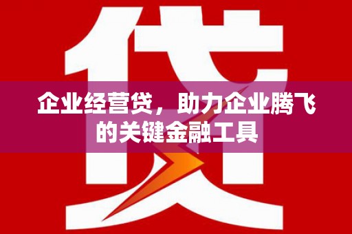 绥滨企业经营贷，助力企业腾飞的关键金融工具