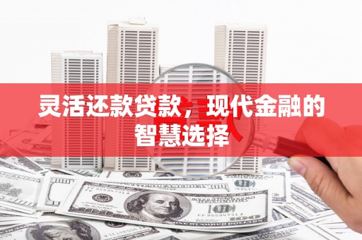 绥滨灵活还款贷款，现代金融的智慧选择