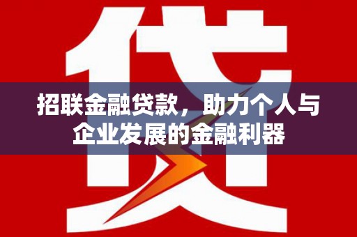 绥滨招联金融贷款，助力个人与企业发展的金融利器