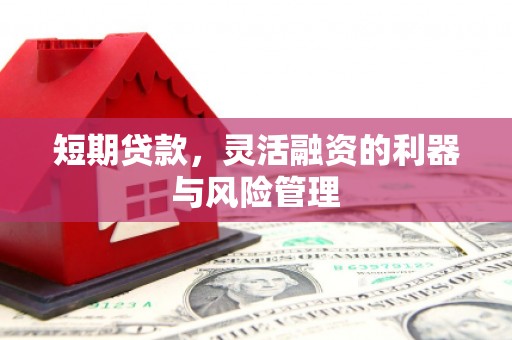 绥滨短期贷款，灵活融资的利器与风险管理