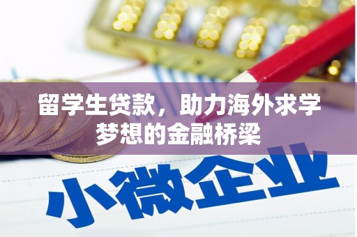 绥滨留学生贷款，助力海外求学梦想的金融桥梁