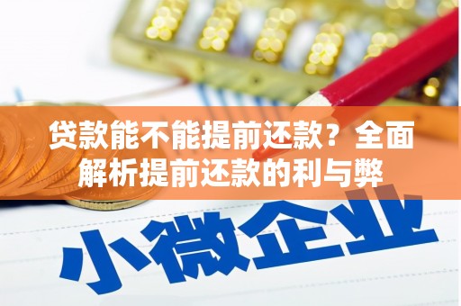 绥滨贷款能不能提前还款？全面解析提前还款的利与弊