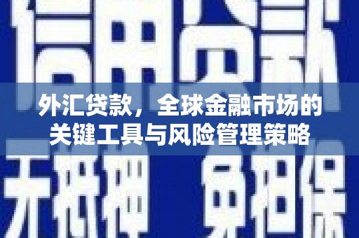 绥滨外汇贷款，全球金融市场的关键工具与风险管理策略