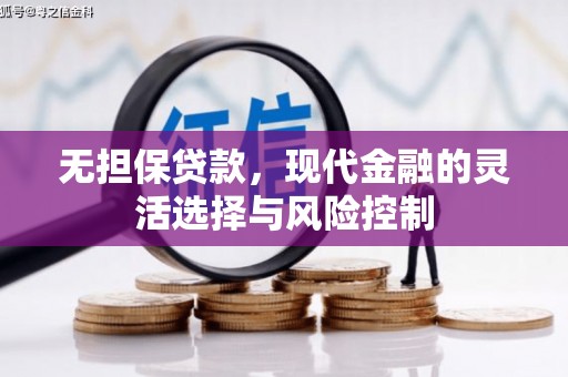 绥滨无担保贷款，现代金融的灵活选择与风险控制